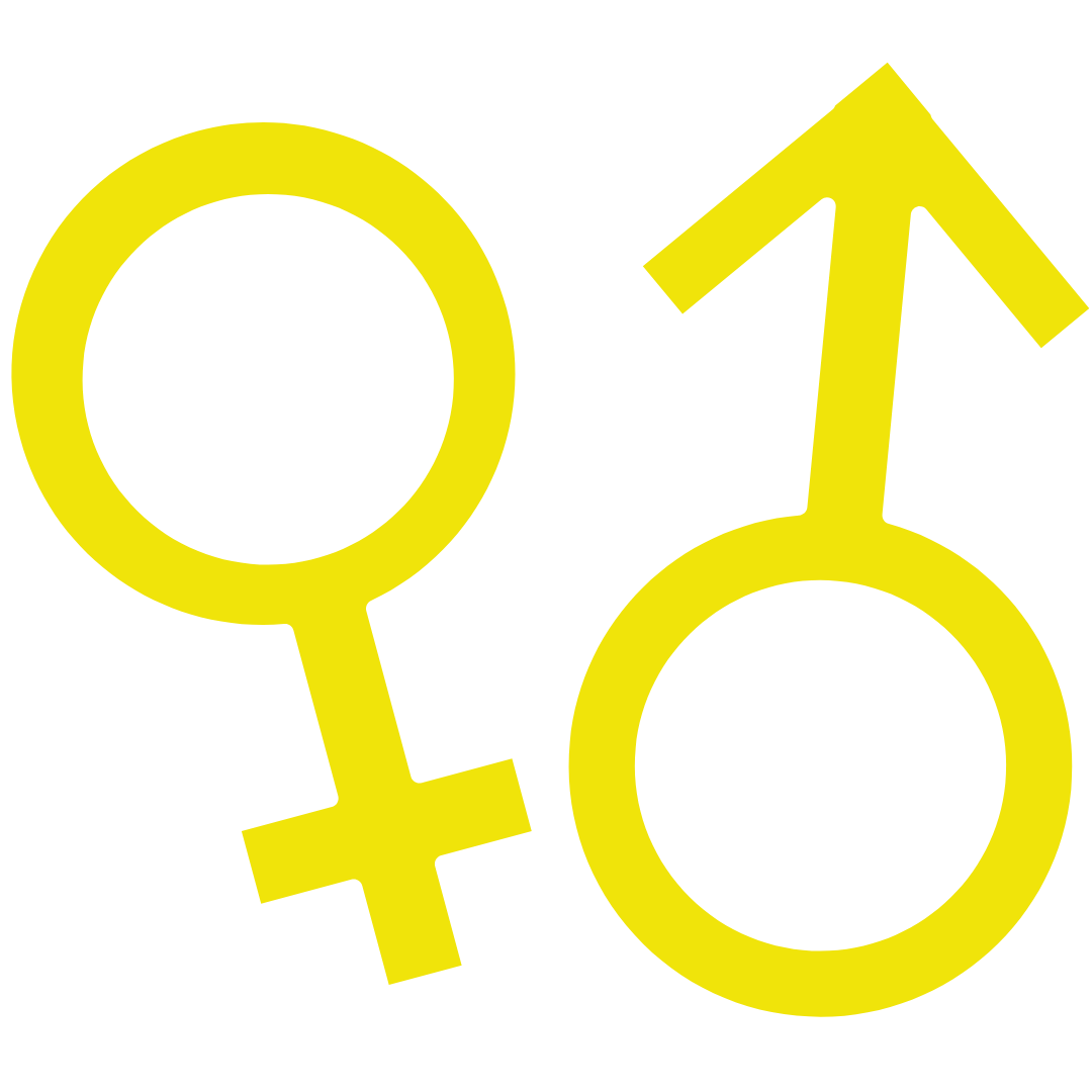 男女比